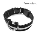 LED Glow Safety Collar