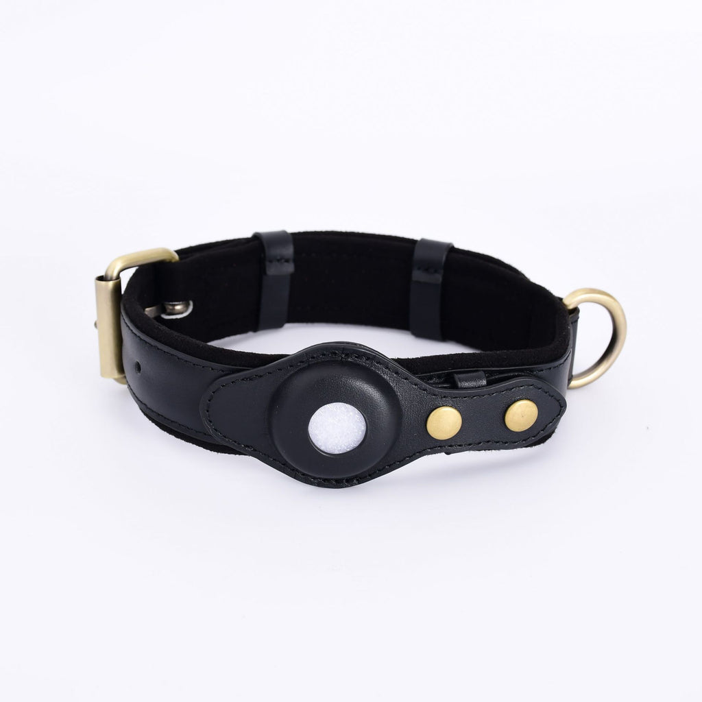 GPS Tracker Pet Collar