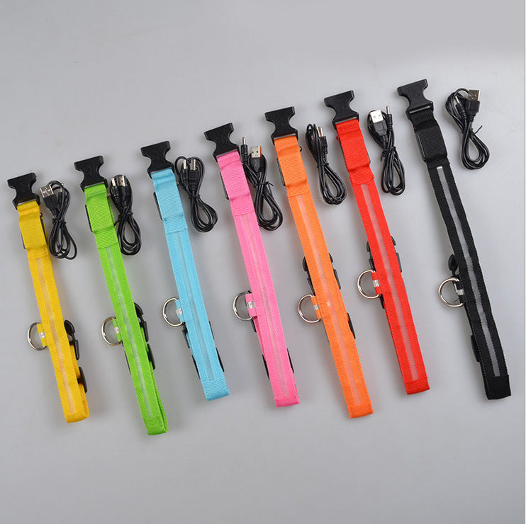 LED Glow Safety Collar