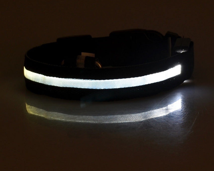 LED Glow Safety Collar
