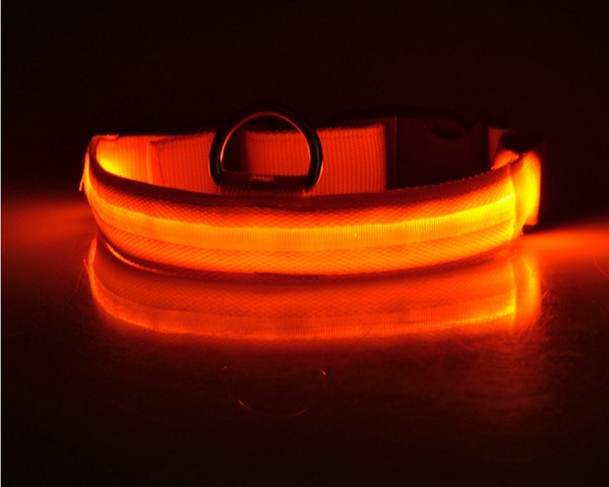 LED Glow Safety Collar