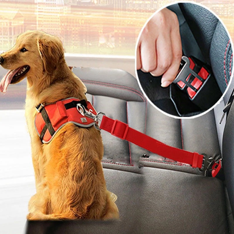 Pet Car Safety Seat Belt