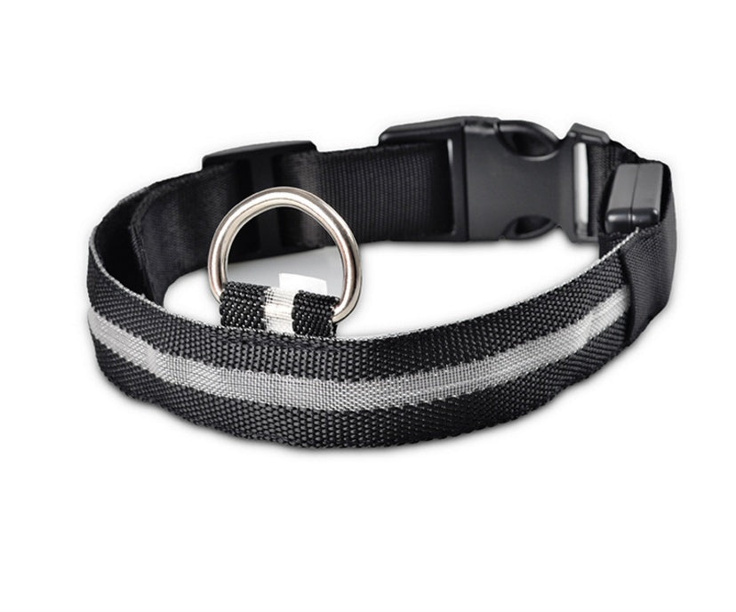 LED Glow Safety Collar