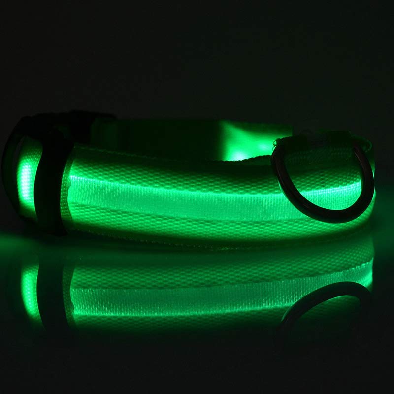 LED Glow Safety Collar