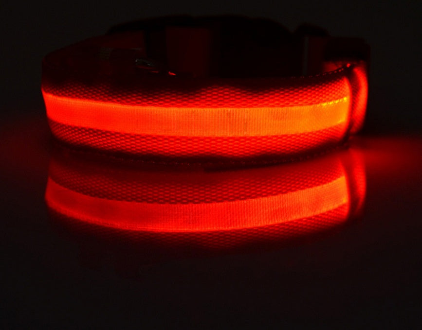 LED Glow Safety Collar