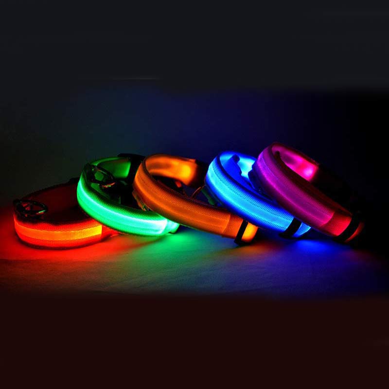 LED Glow Safety Collar