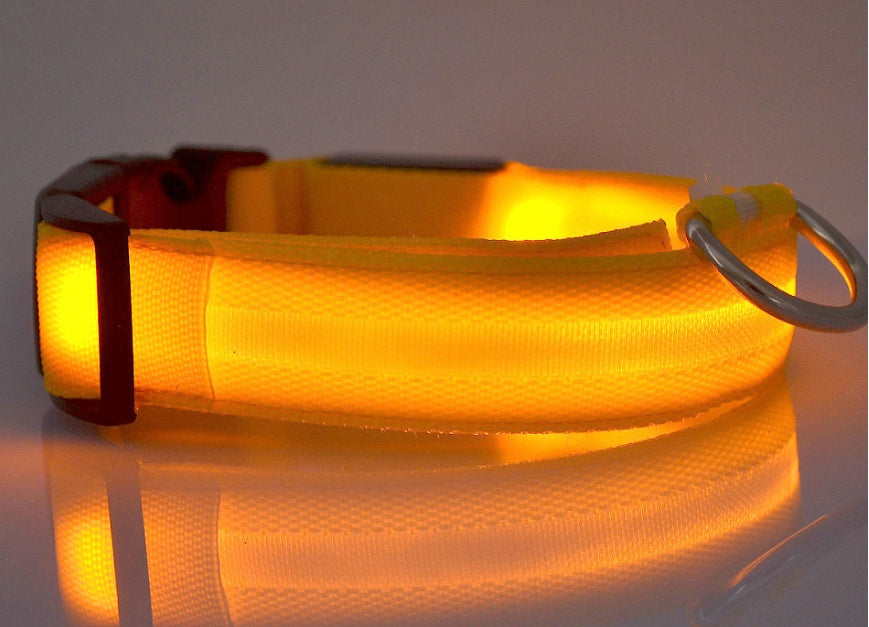 LED Glow Safety Collar