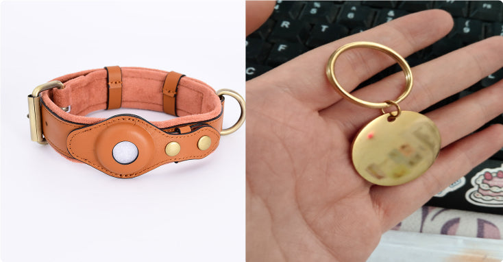 GPS Tracker Pet Collar