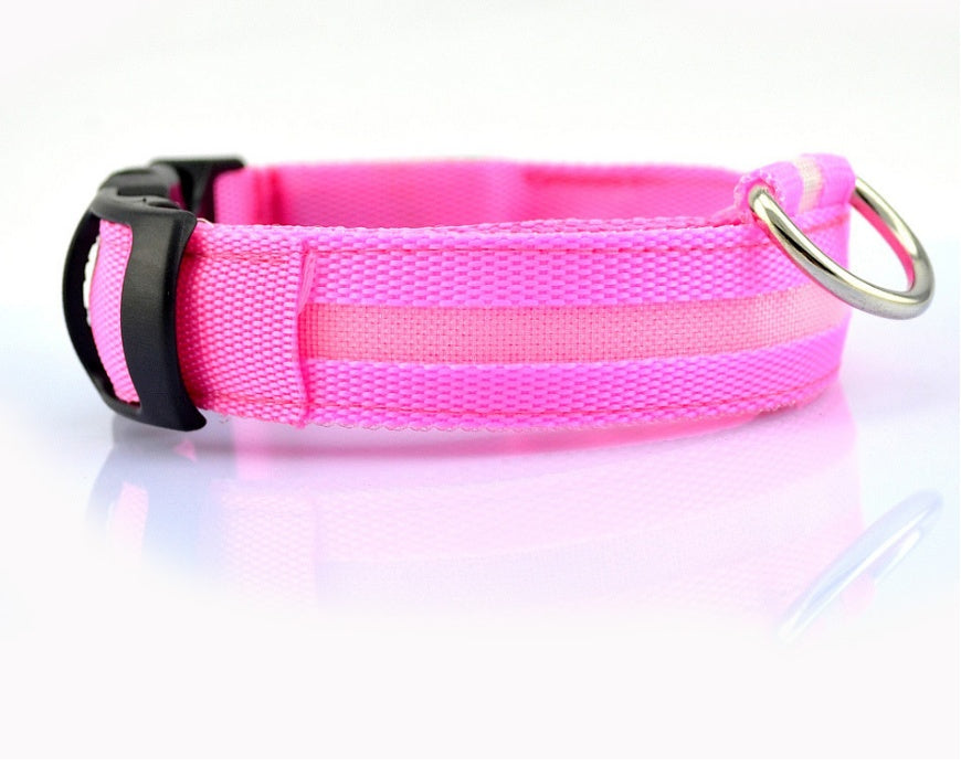 LED Glow Safety Collar