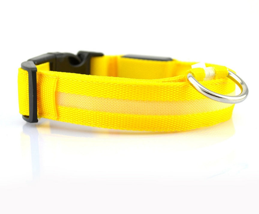LED Glow Safety Collar