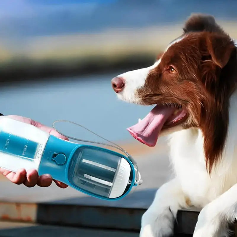 3-in-1 Pet Travel Bottle
