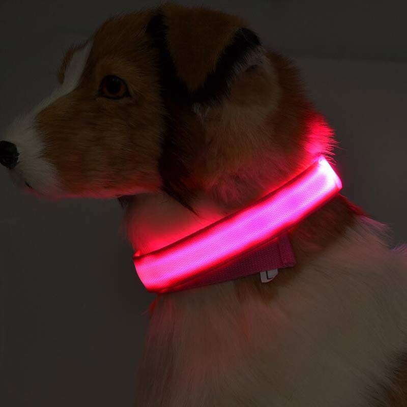 LED Glow Safety Collar