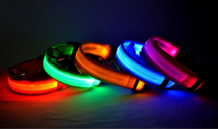 LED Glow Safety Collar