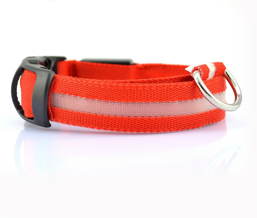 LED Glow Safety Collar