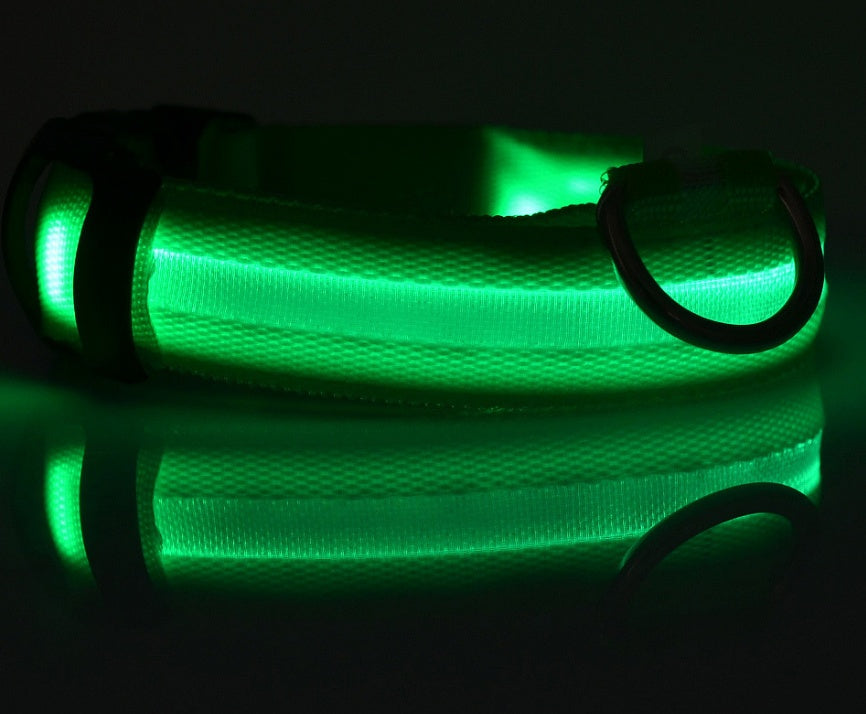 LED Glow Safety Collar