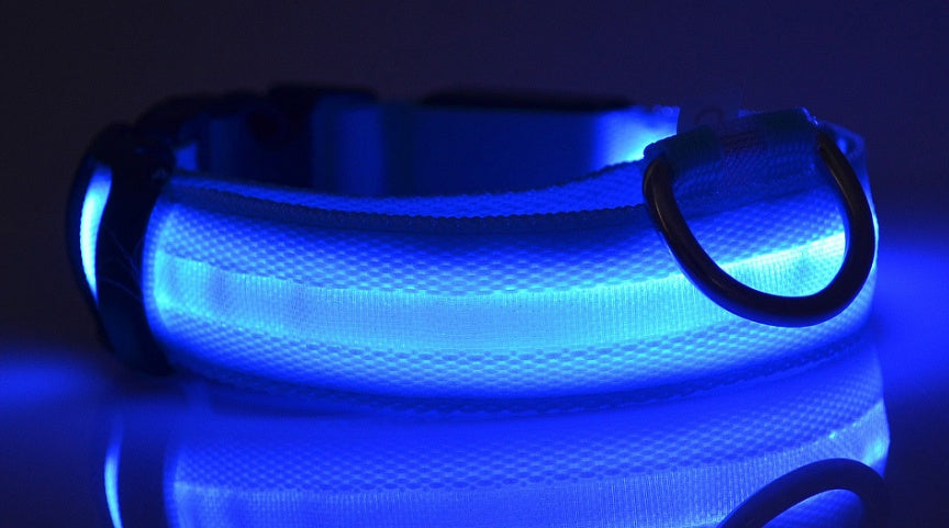 LED Glow Safety Collar