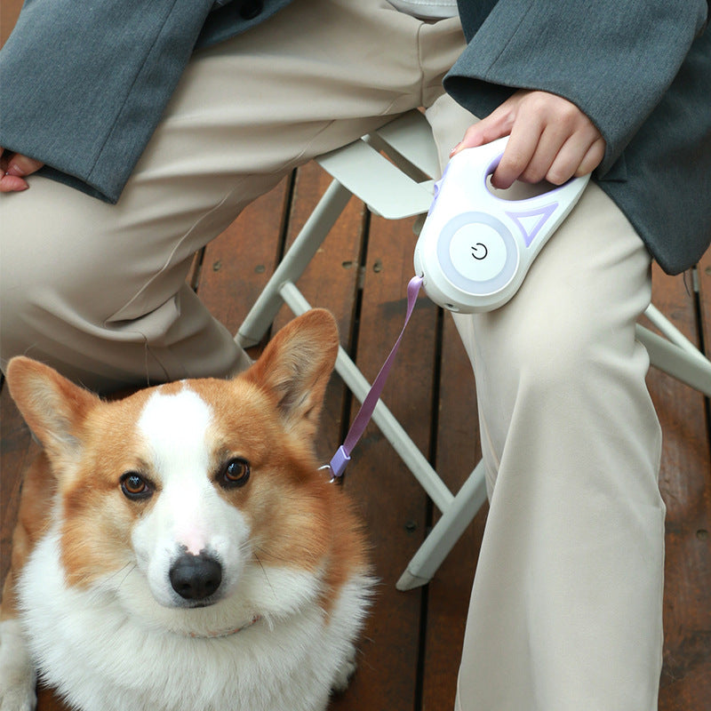 Retractable Dog Leash Set