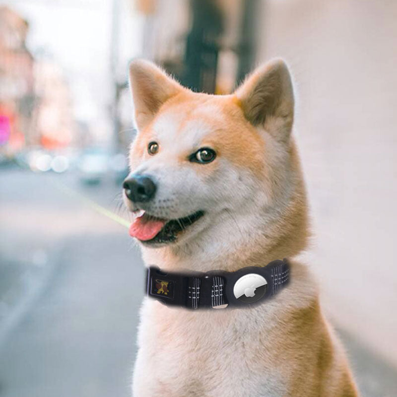 Pet Tracker Holder Collar